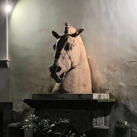 Guest house Palazzo Diomede Carafa Santangelo Luxury *